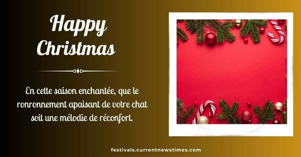 Joyeux Noel Avec Chat (1)