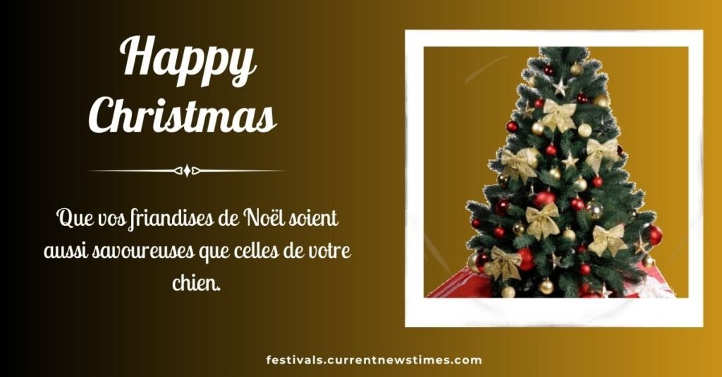 Joyeux Noel Avec Chien (1)