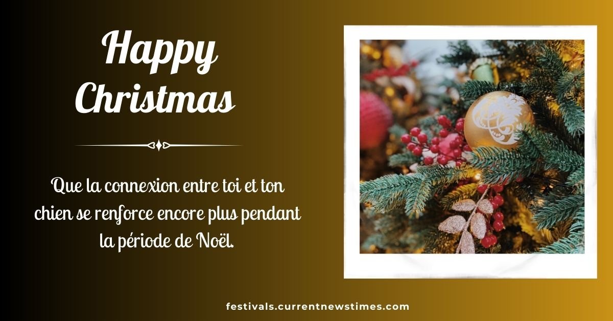 Joyeux Noel Avec Chien