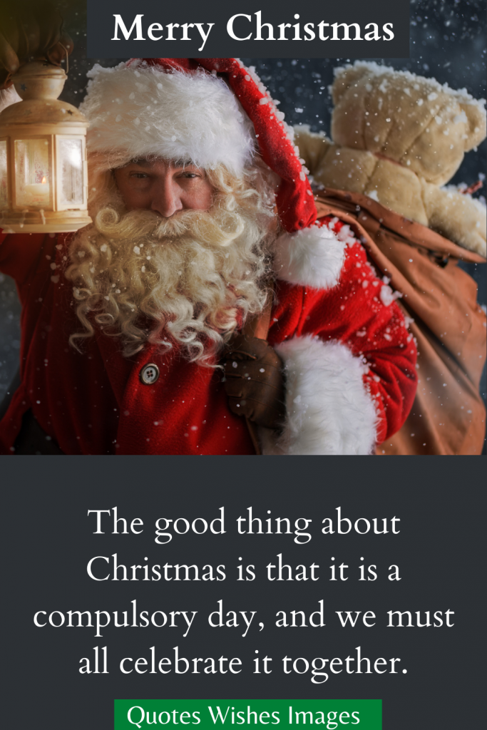 happy christmas quotes for family
