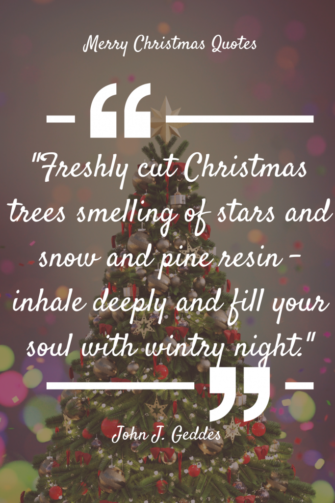 christmas tree quotes and lines